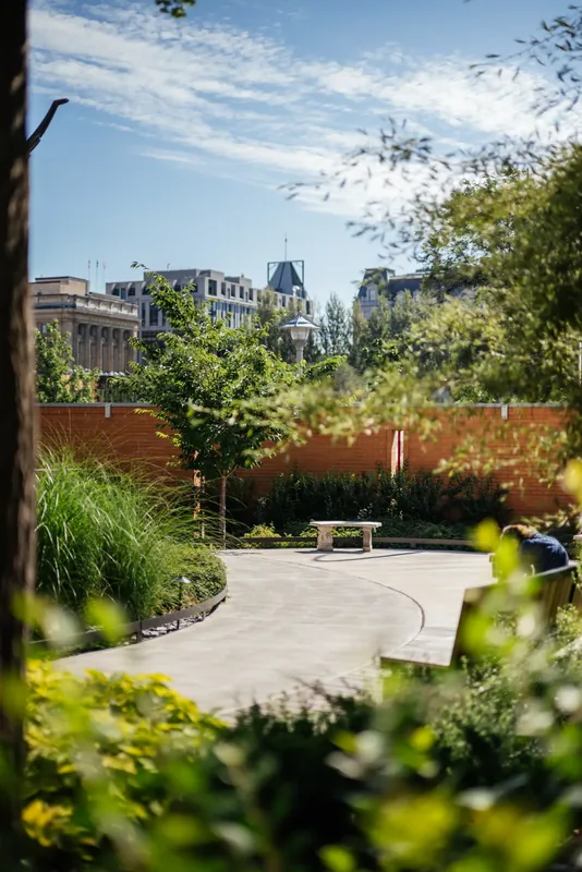 Garden path through lush planting