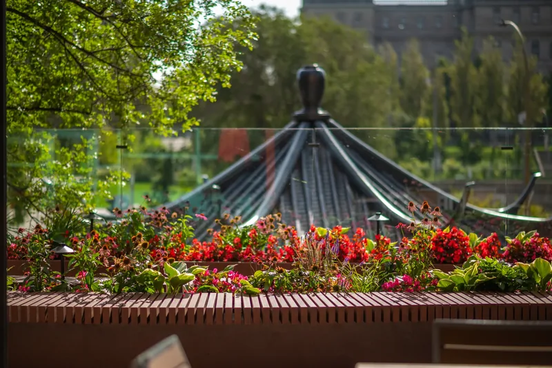 Seasonal flowers in the terrace planters
