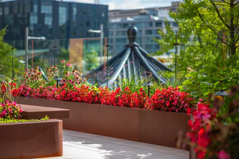 Seasonal flowers in the terrace planters
