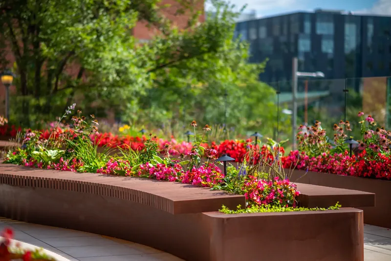 Steel planters with flowers lining the terrace