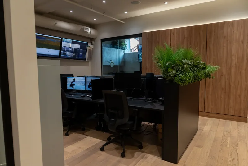 Workstations with multiple monitors beside a planter and a wood-panelled wall