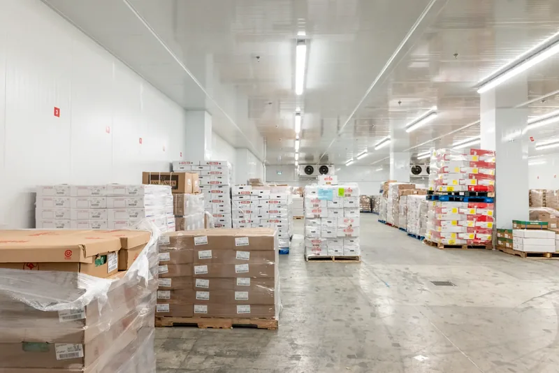 Chambre réfrigérée où des palettes de boîtes sont disposées sur le plancher de béton sous des réglettes DEL