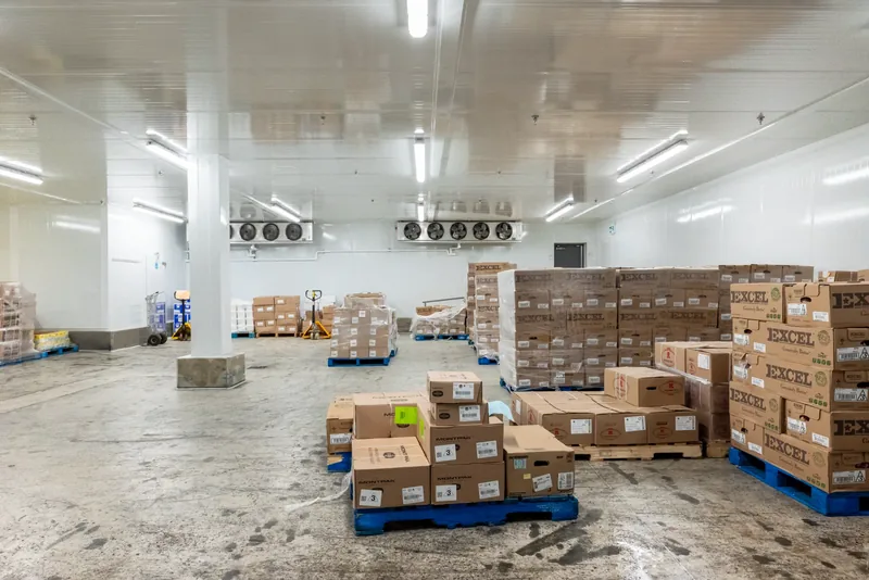 Palettes de boîtes et transpalettes dans une chambre réfrigérée, avec évaporateurs près du plafond