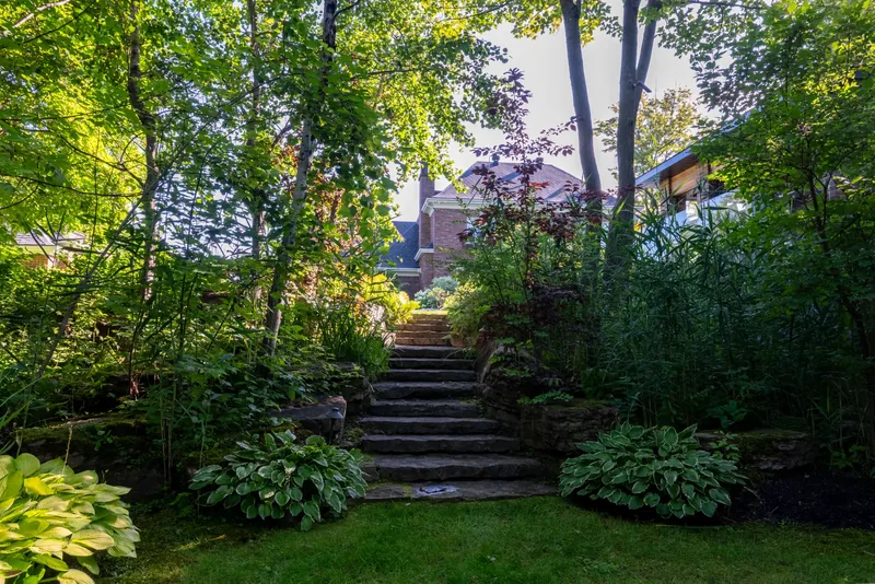 Natural stone garden stairs lined with hostas beneath the trees