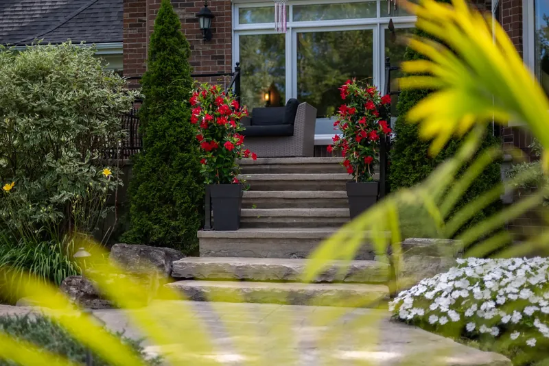 Stone steps rising to the house between cedars and red mandevilla planters