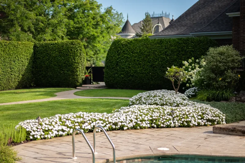 Layered garden beds of white flowers and clipped shrubs