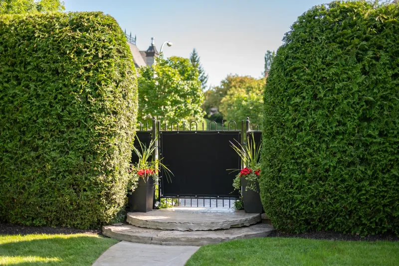 Black garden gate with planters and curved stone steps between tall cedar hedges
