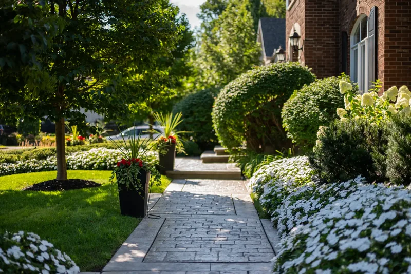 Stamped concrete walkway lined with white flowers and rounded shrubs