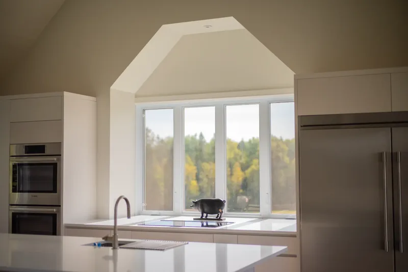 Dormer window above the kitchen counter, framing the trees
